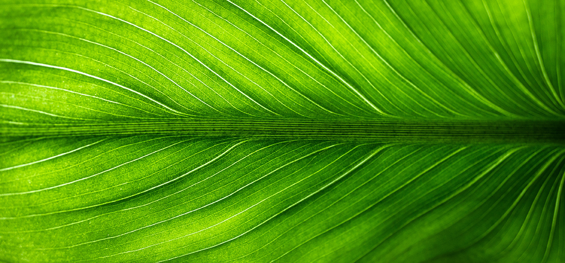 ye jinghan T5roX1jajzU unsplash 1